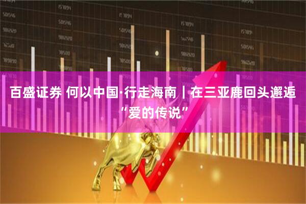 百盛证券 何以中国·行走海南｜在三亚鹿回头邂逅“爱的传说”
