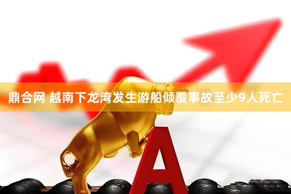 鼎合网 越南下龙湾发生游船倾覆事故　至少9人死亡