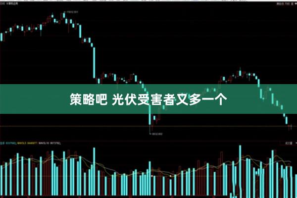 策略吧 光伏受害者又多一个