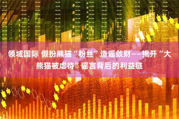 领域国际 假扮熊猫“粉丝”造谣敛财——揭开“大熊猫被虐待”谣言背后的利益链