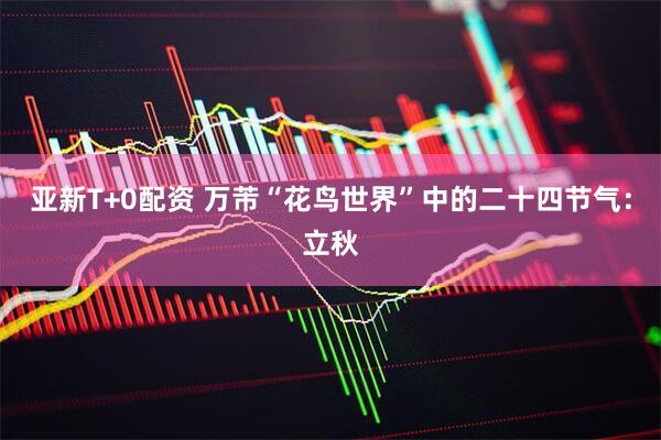 亚新T+0配资 万芾“花鸟世界”中的二十四节气：立秋