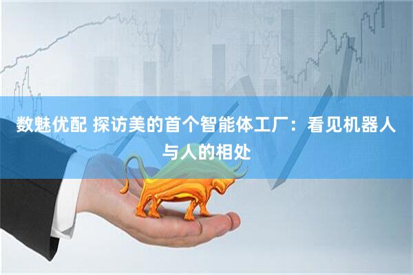 数魅优配 探访美的首个智能体工厂：看见机器人与人的相处