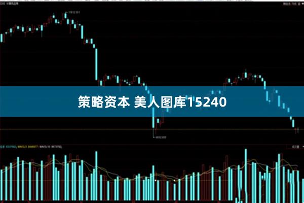 策略资本 美人图库15240