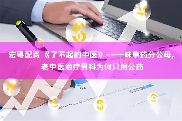 宏粤配资 《了不起的中医》——一味草药分公母, 老中医治疗男科为何只用公药