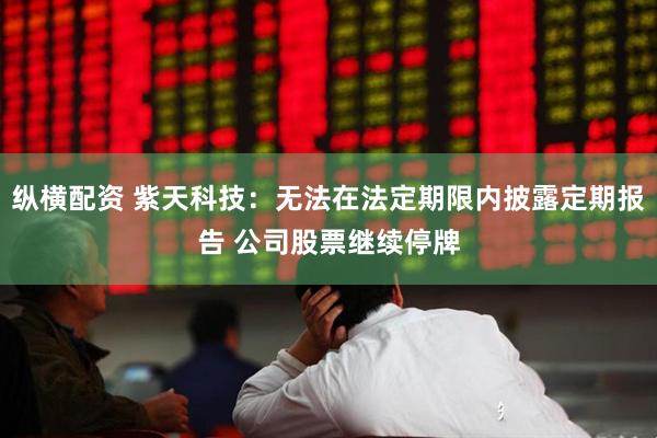 纵横配资 紫天科技：无法在法定期限内披露定期报告 公司股票继续停牌
