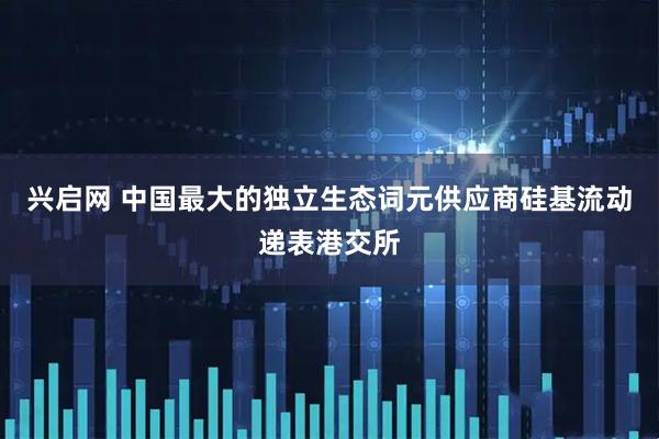 兴启网 中国最大的独立生态词元供应商硅基流动递表港交所